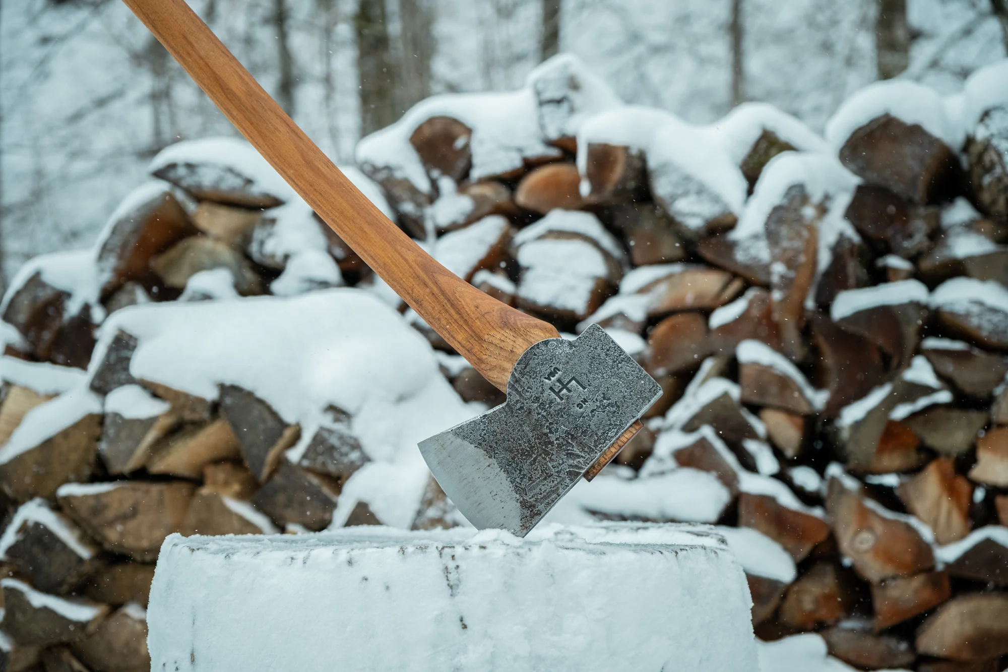 Built for the Untamed Wild